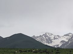 -新疆那拉提国家旅游度假区