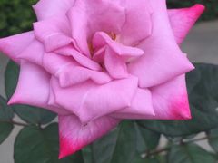 -人民公园(罗湖区)