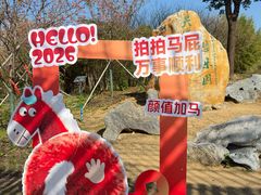 -天适樱花悠乐园