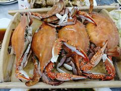 -海香园饭店