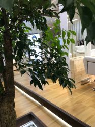 点击看大图 -P.STYLE派斯造型