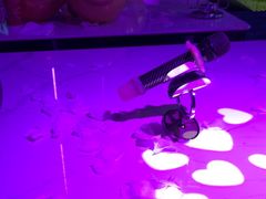 -酷秀KTV(五道口店)