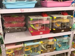 -钓仓鼠(洋桥北里小区店)