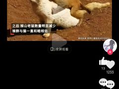 -昆明动物园