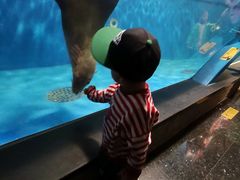 -成都浩海立方海洋公园