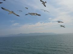 -长岛南北长山旅游景区