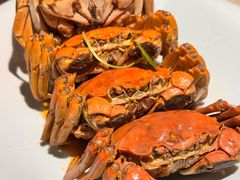 陈年花雕醉熟蟹&nbsp;&nbsp;98/位-淮扬府(安定门店)