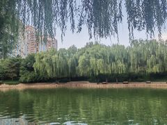 -团结湖公园