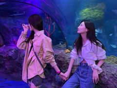 -沈阳海洋探索中心