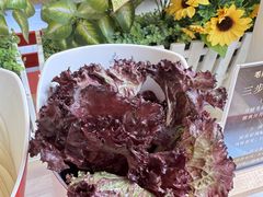-毛辣果·贵州红酸汤牛肉火锅(西单店)