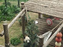 -大连森林动物园