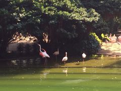 九龙公园-九龙公园