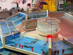 -八景休閒山莊  廣東十大名山莊