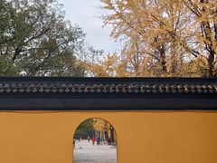 -西园戒幢律寺
