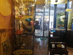 大堂-蜜蜂家的红茶馆(华府店)