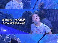 -重庆欢乐海底世界