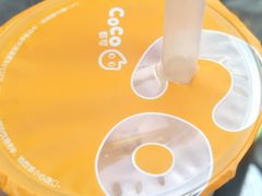 -CoCo都可(惠福店)