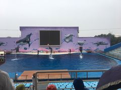 -北戴河圣蓝海洋公园