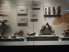 -湖南省地质博物馆