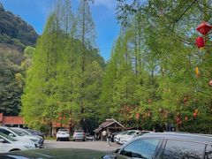-缙云山景区