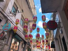 -猫咪博物馆(顶澳仔猫街店)