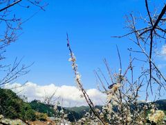 -楚鲜·汉正街一号(天河店)