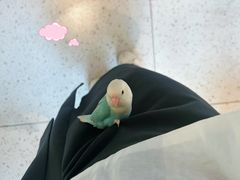 -Bai Meow法式西点咖啡