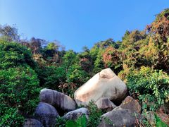 -火炉山森林公园