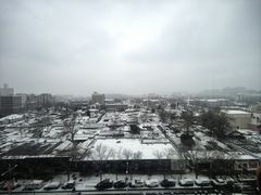 -同庆楼(金宝汇店)