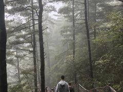 -秦岭天竺山生态文化旅游景区