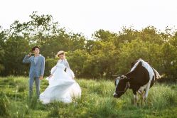 点击看大图 -你好晴天·目的地婚礼