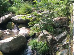 -藏龙百瀑风景区