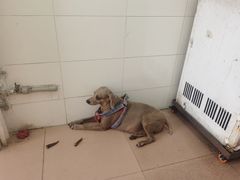 -熊仔屋(吉祥苑小区店)