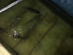 -姥家大锅台水库渔家