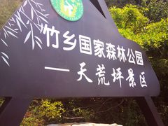 -江南天池
