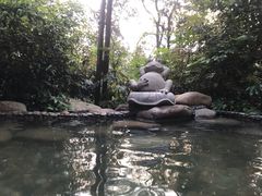 -天目湖涵田半山温泉