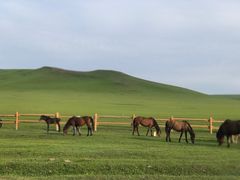 -莫日格勒旅游景区