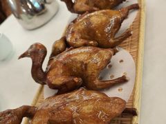 -五谷芳乳鸽王(海景店)