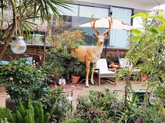 -大隐花事(熊婆婆的花园店)