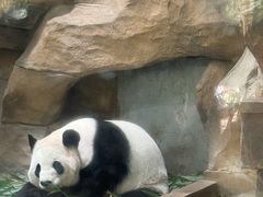 -成都动物园