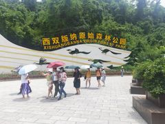 -西双版纳原始森林公园