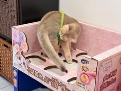 -山姆会员商店(邻瑞广场店)