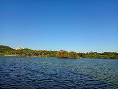 -番禺大夫山森林公园