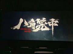 -华谊兄弟影院(IMAX洋桥店)