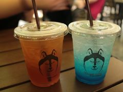 -TrueLove @ Neverland (Husky Cafe)