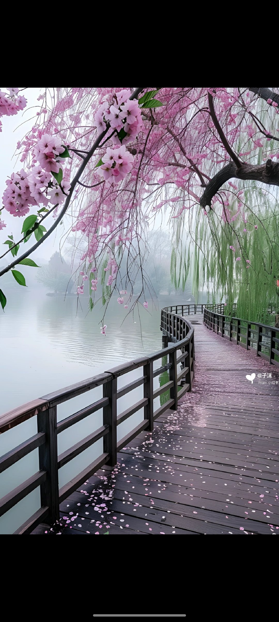 桃花风景 最美图片