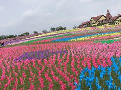 -歌斐颂巧克力小镇