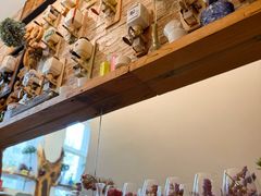 -六月花园咖啡馆(中关村东路店)