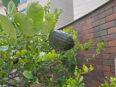 -川流不息(北蔡休闲广场店)