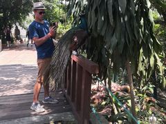 -吉隆坡雀鸟公园